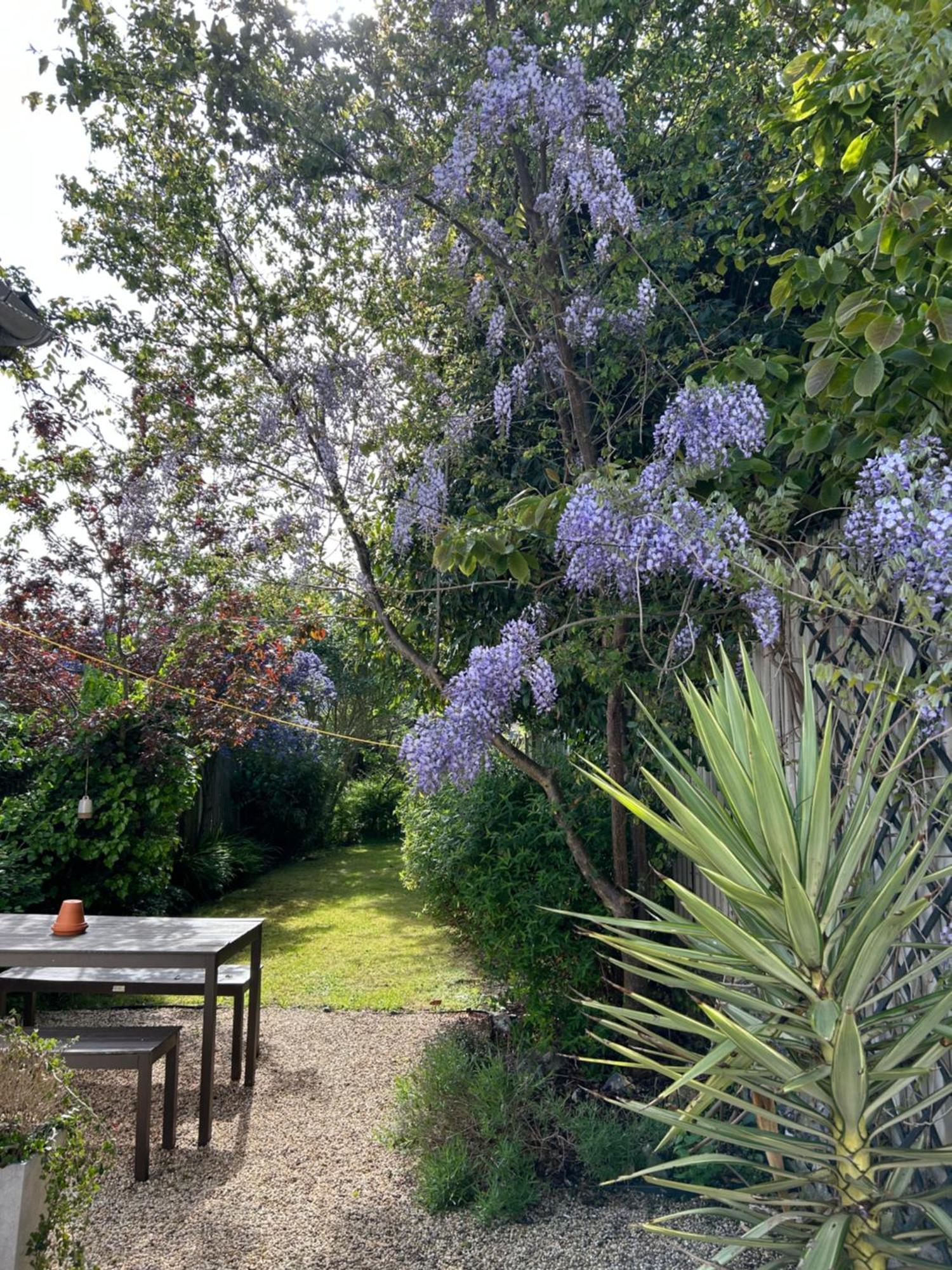 Sea Song Cottage Broadstairs Exterior photo